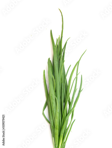 green bunch of onion parsley dill on white background