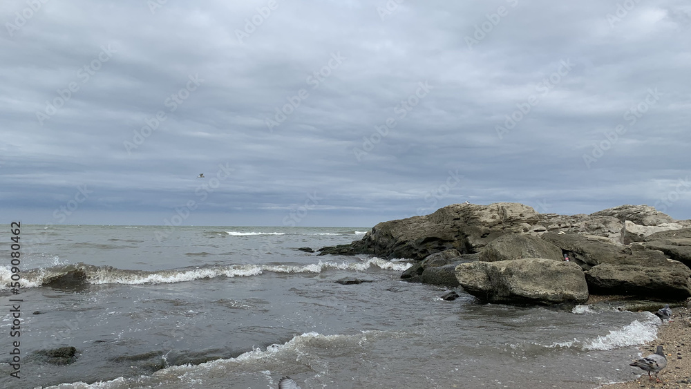 a seagull in a cloudy sky over the sea waves