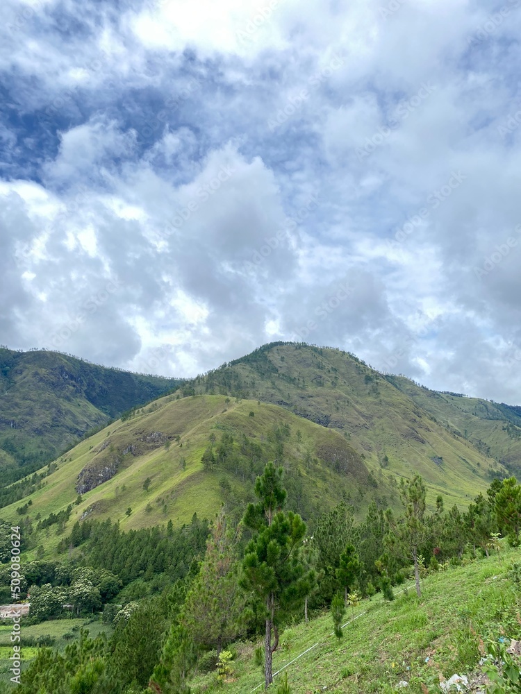 Fototapeta premium landscape with sky