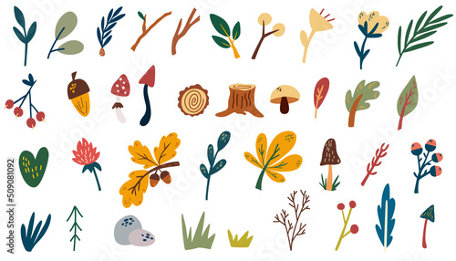 Forest plants elements. Hand draw woodland trees, hemp, leaves, herbs, berries and mushrooms. Wild botanical set. Scandinavian style vector cartoon illustration isolated.