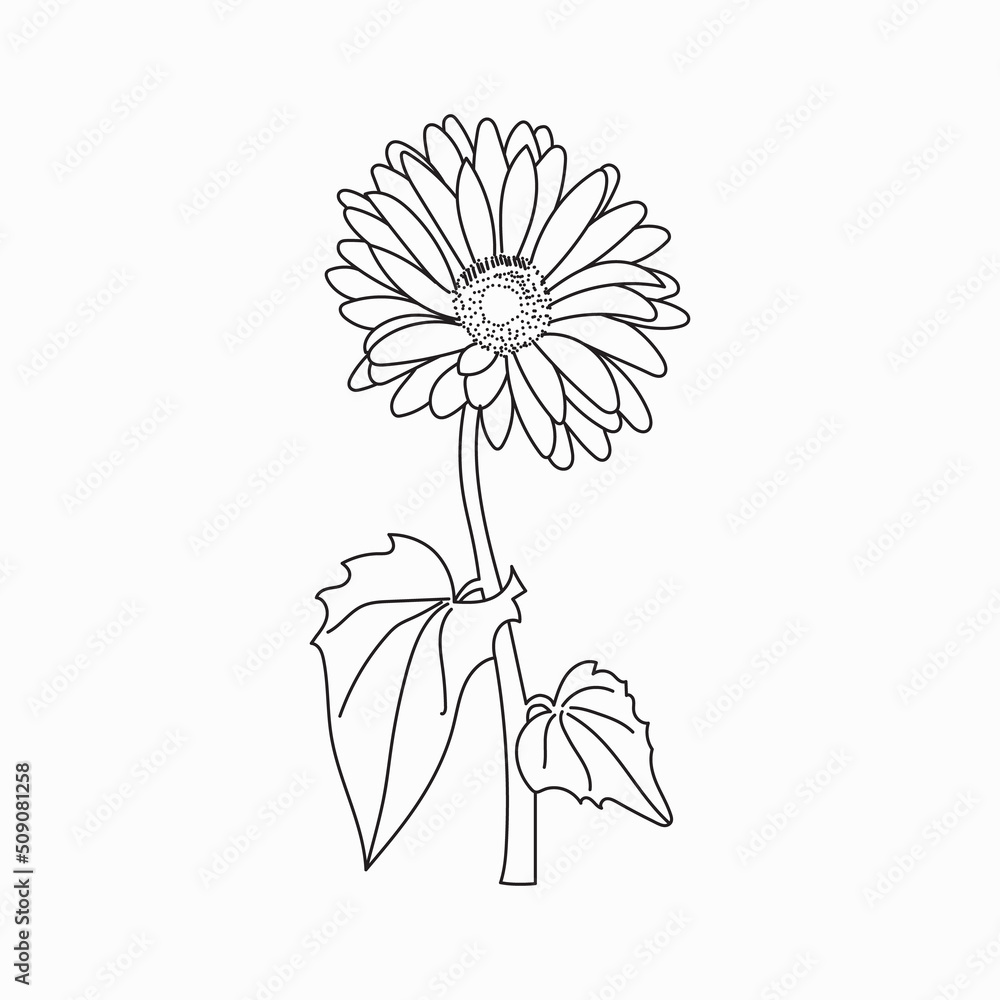 Coloring book. Hand drawn. Black and white. children. Flowers. Coloring book. Hand drawn. Black and white. children. Flowers.