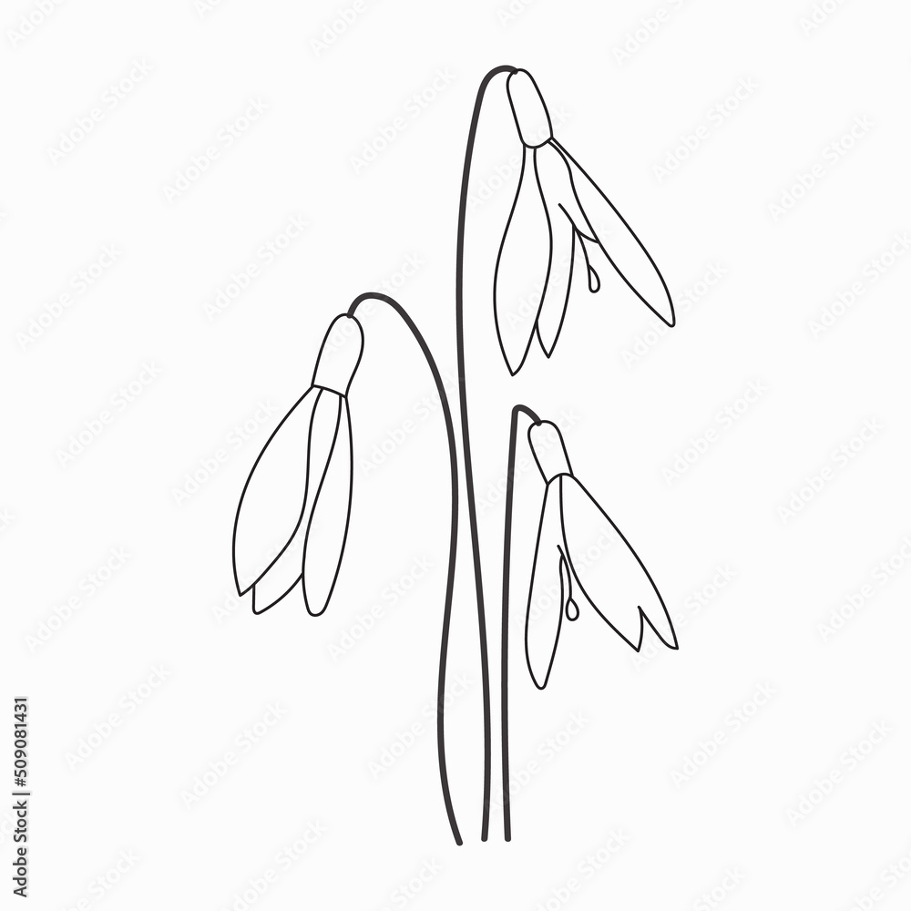 Coloring book. Hand drawn. Black and white. children. Flowers. Coloring book. Hand drawn. Black and white. children. Flowers.