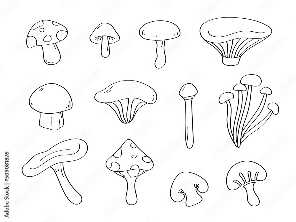 Cute doodle mushrooms cartoon icons and objects. Cute doodle mushrooms cartoon icons and objects.