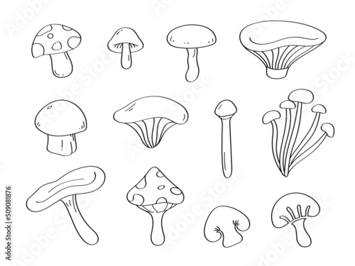Cute doodle mushrooms cartoon icons and objects.