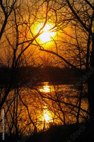 sunset landscape reflected in the water  sunlight visible through the bare branches of trees. vertical snapshot.