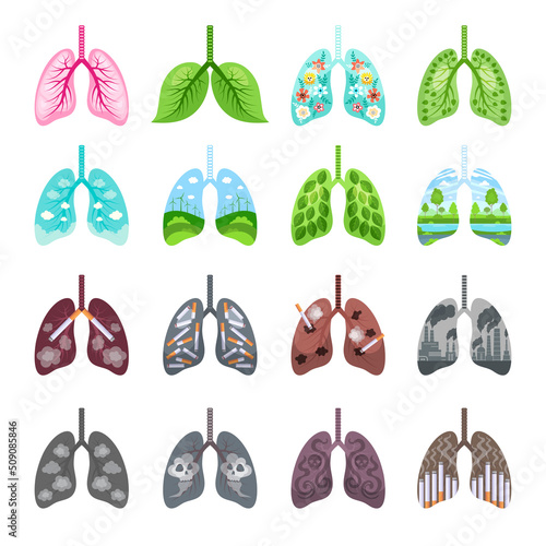 Tobacco lungs. Unhealthy damaged organism clear and healthy respiration systems recent vector templates pictures set