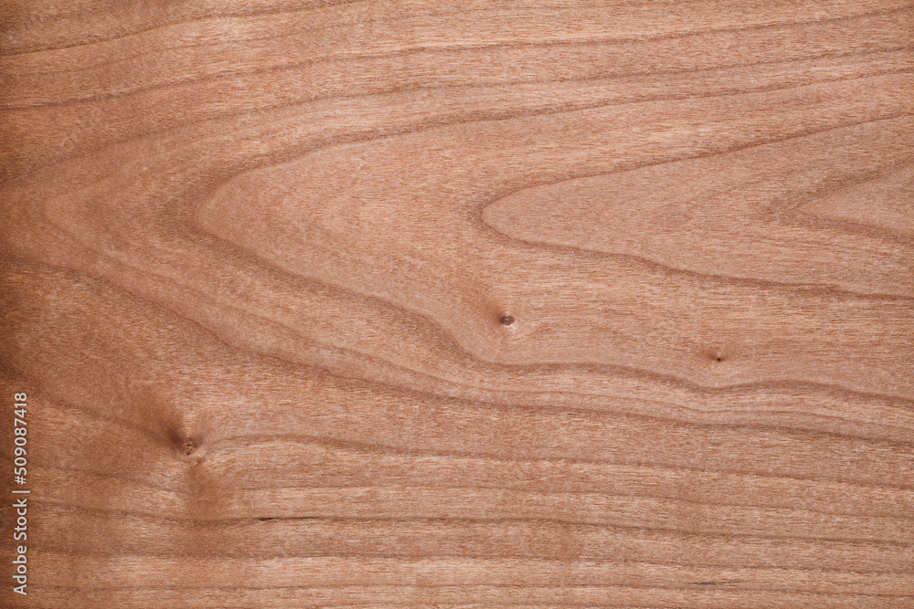 Wood texture background. Wooden texture for design and decoration Wood texture background. Wooden texture for design and decoration