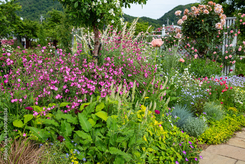 Scenery where various kinds of wildflowers are in full bloom.