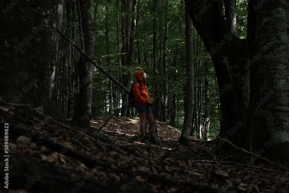 chica en medio del bosque