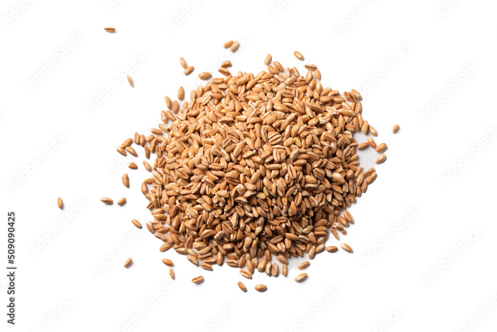 Farro perlato isolato su fondo bianco, cibo biologico Farro perlato isolato su fondo bianco, cibo biologico