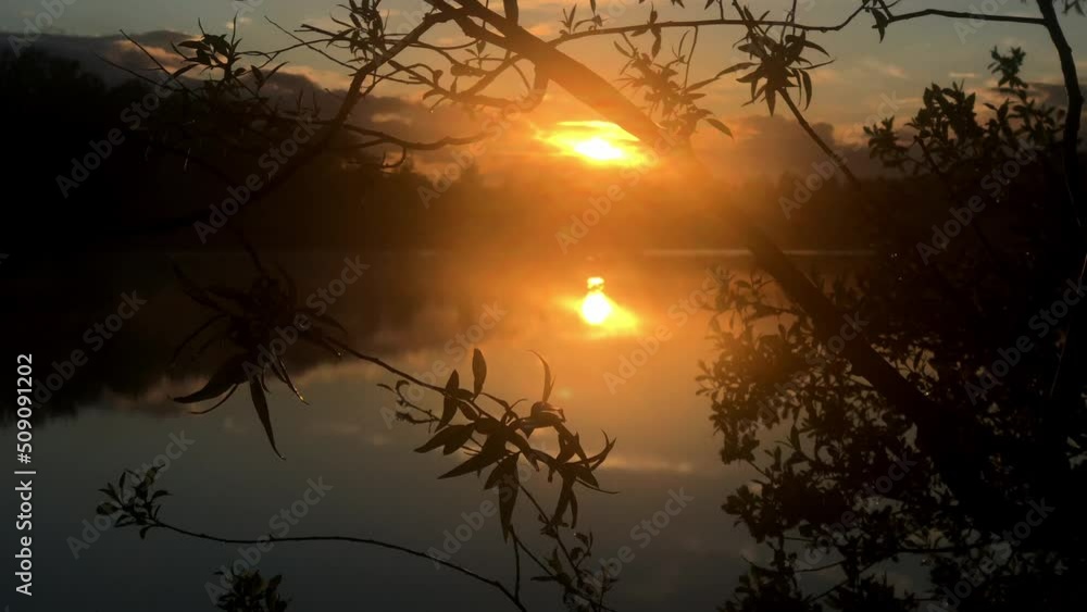Sunset light over lake through silhouettes of tree branches in summer evening. Sunset light over lake through silhouettes of tree branches in summer evening.