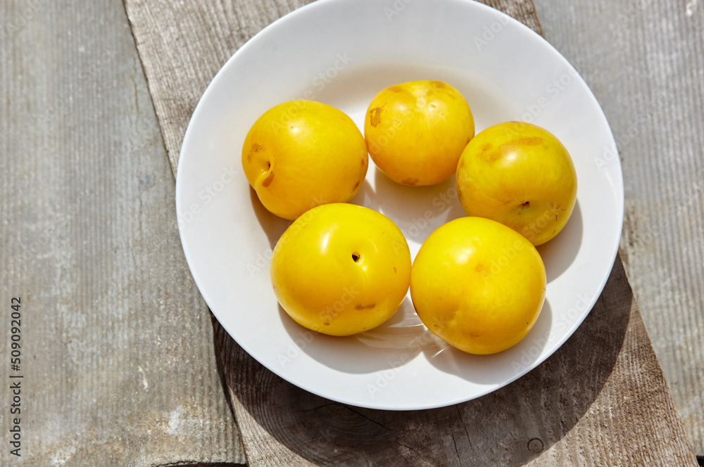 Ripe yellow plums on plate. Juicy fruit on wooden background, closeup. Fresh plum, vegetarian food. Harvest concept, top view Ripe yellow plums on plate. Juicy fruit on wooden background, closeup. Fresh plum, vegetarian food. Harvest concept, top view