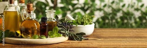 Different fresh herbs with oils on wooden table, space for text. Banner design