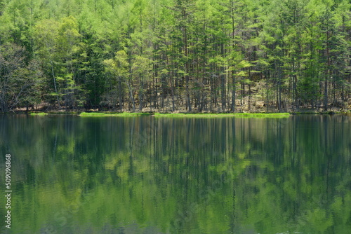 新緑の森の映り込みが美しい山の中の池