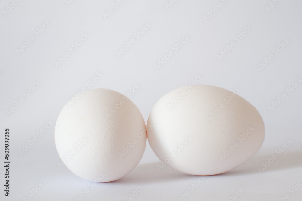 Profile view of two white eggs photo in studio shot. Isolated on white background, selective focus. Profile view of two white eggs photo in studio shot. Isolated on white background, selective focus.