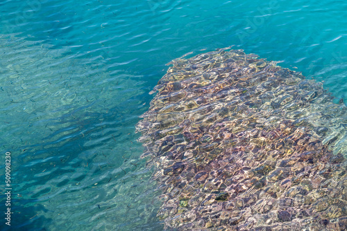 Water ripple over rocks in the beach.