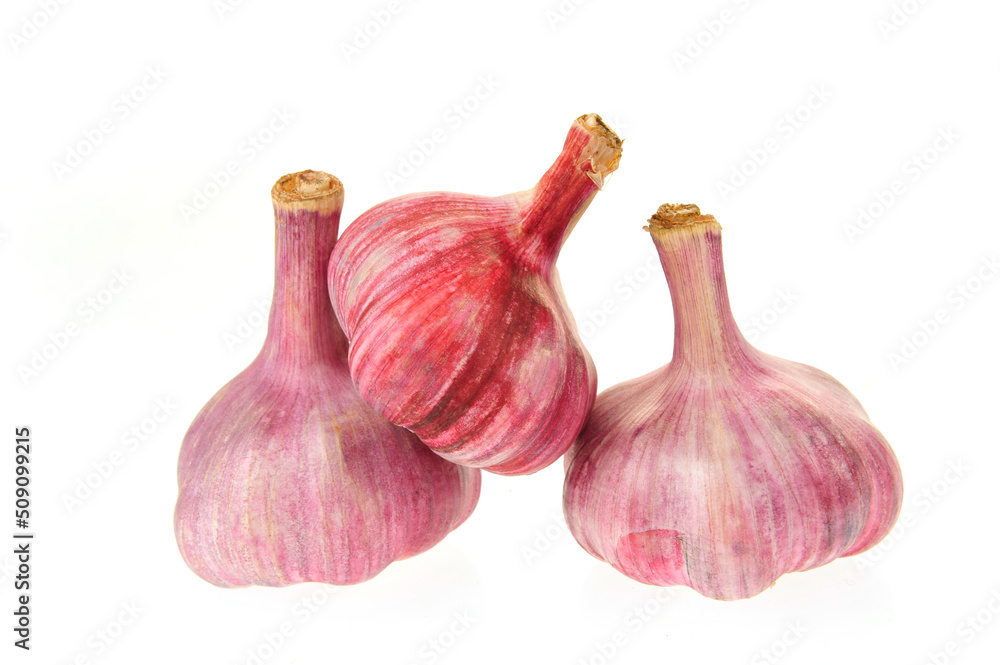 Fototapeta premium Garlic isolated on white background
