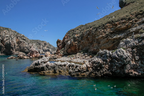 Gaviotas revoloteando en las Islas Medas en la Costa Brava photo
