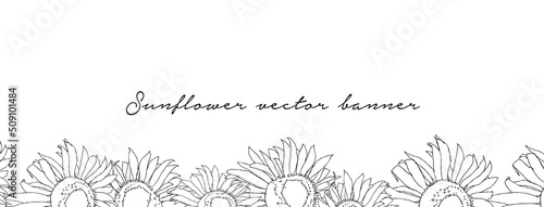 Banner with sunflowers. Simple line vector art