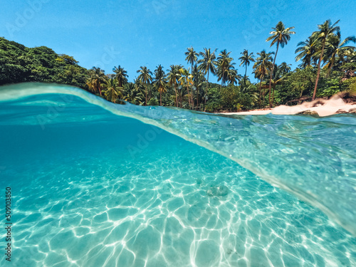 Fototapeta Naklejka Na Ścianę i Meble -  Tropical Island Palm and underwater