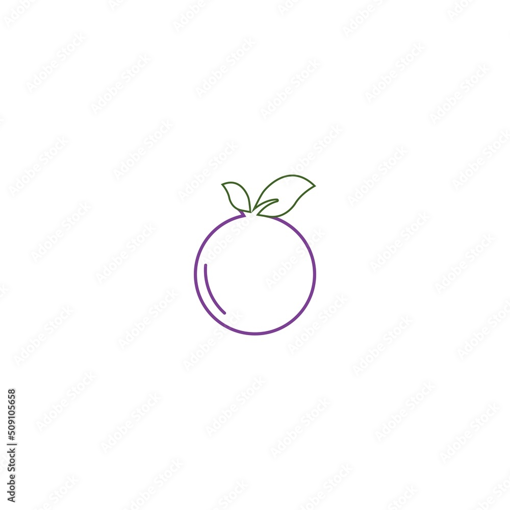 Obraz premium Blueberry logo