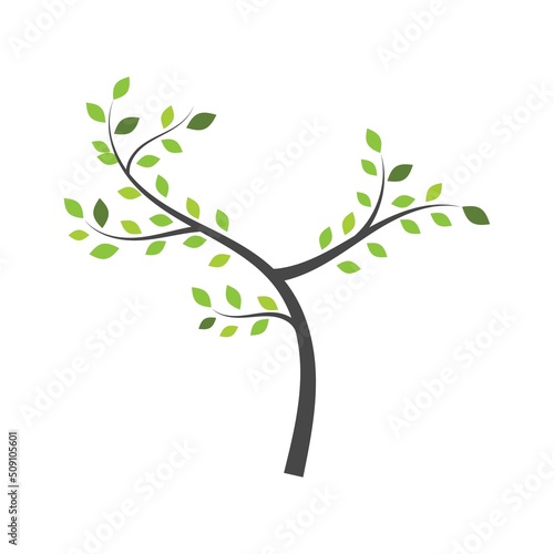tree branch vector ilustration design template