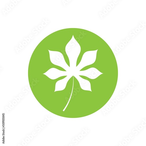 tropical leaf Vector icon design illustration Template