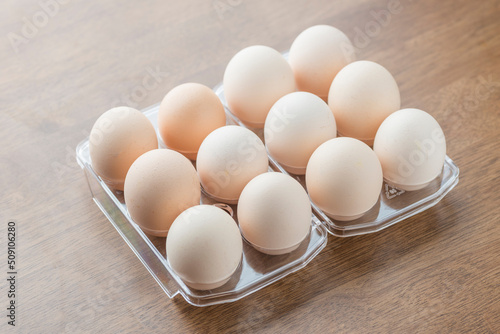 Plastic egg torrey consistent color fresh eggs photo