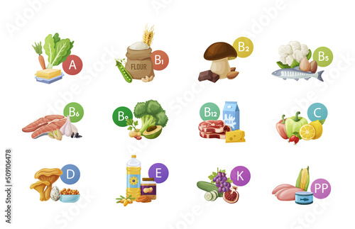 Set of main food groups, macro and micronutrients