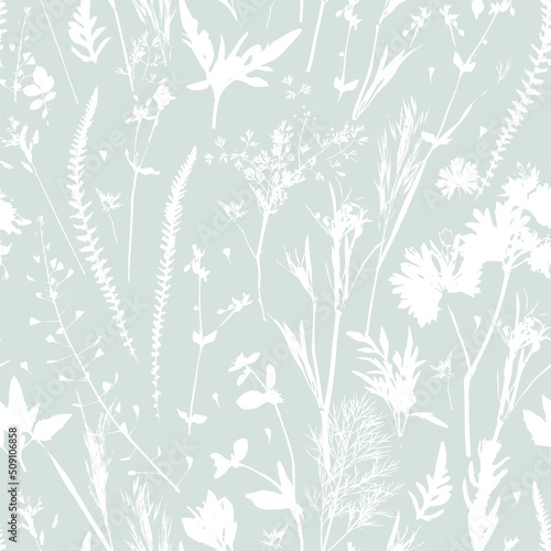 Seamless pattern with wild herbs