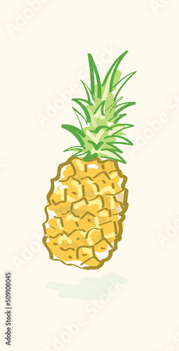 Isolated juicy yellow orange pineapple in vector illustration art design