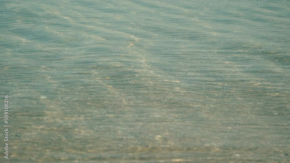 Movement of the water surface Movement of the water surface