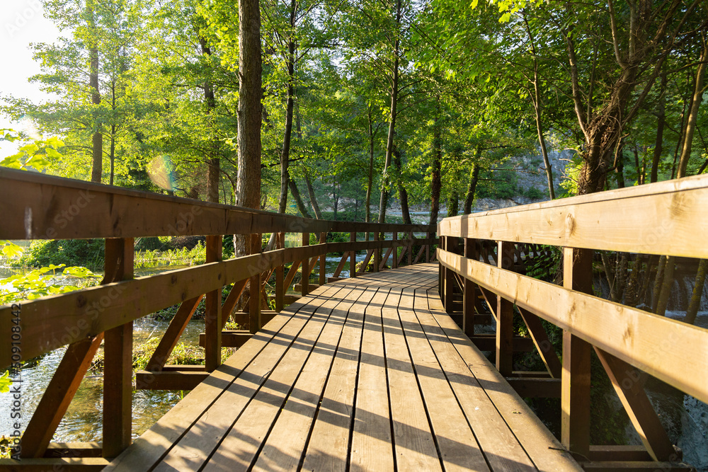 Wooden footbridge on the Pliva river in Bosnia and Herzegovina Wooden footbridge on the Pliva river in Bosnia and Herzegovina