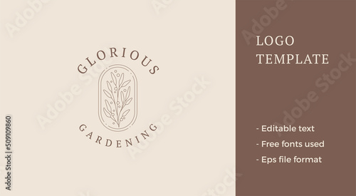 Minimalist organic wild plant branch with leaves and stem in vintage geometric frame logo e vector