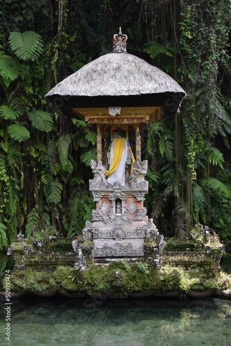 Shrine in Reflecting Pool Portrait, Pura Gunung Kawi, Bali