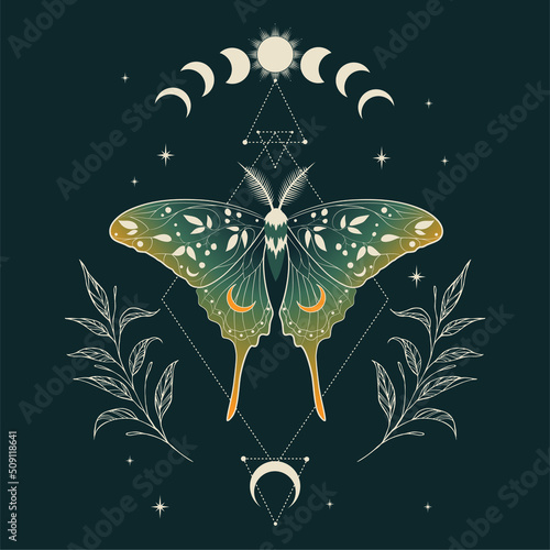 Green vector illustration of moon moth. For print for T-shirts and bags, decor element. Mystical and magical, astrology illustration