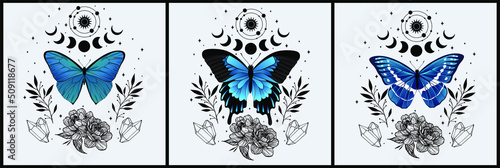 Magic blue art vector set. Decorative symbolic moth, planets, herbs and stars. Gold contour sketches, vector mythology set.