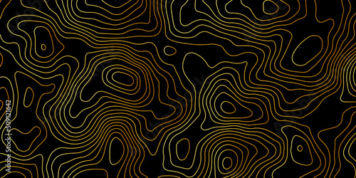 Topographic background and texture, monochrome image.  Topographic multicolored linear background for design, abstraction with place for text. Geography concept.Topography map grid in vector design .