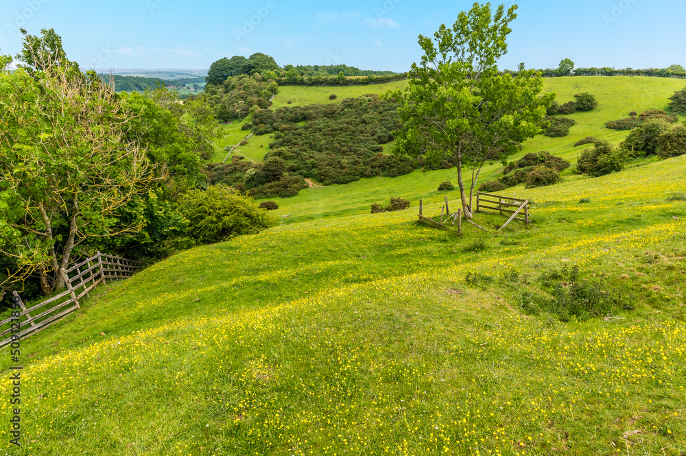 A view westwards down the western ramparts of the Iron Age Hill fort remains at Burrough Hill in Leicestershire, UK in summertime