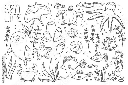 Sea life doodle set. Marine animals in linear style. Collection of marine elements. Vector isolated illustration.