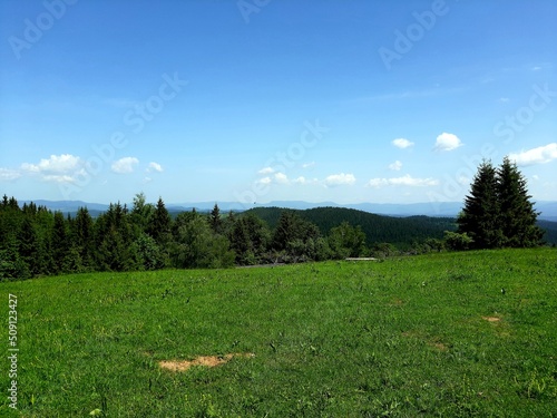 Mountain Ozren and Zvijezda landscape with sky  grass and trees  Bosnia and Herzegovina