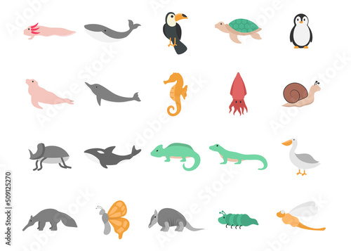 animal icon set design template vector illustration