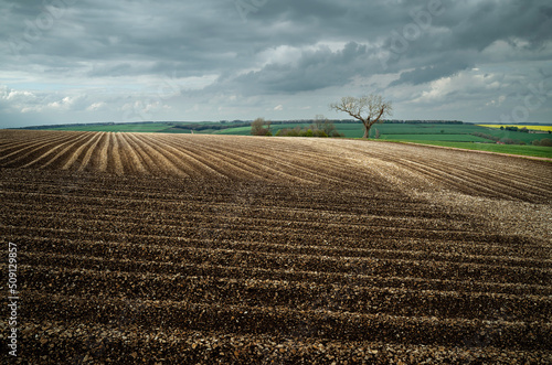 Fényképezés Freshly ploughed field and view across the Wolds under bright sky