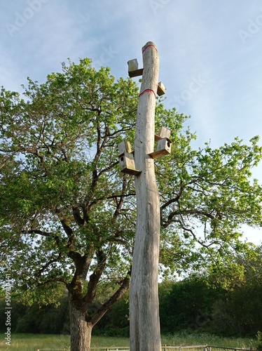 Nichoirs à chauves-souris installés dans les arbres dans un souci de préservation de l'environnement