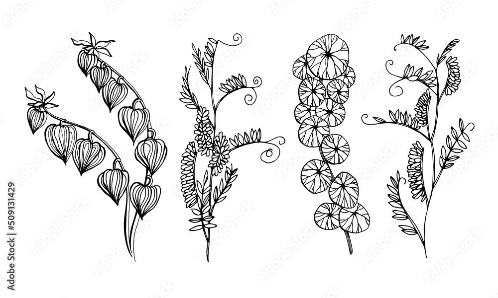 Set of branches of garden plants with flowers Set of branches of garden plants with flowers