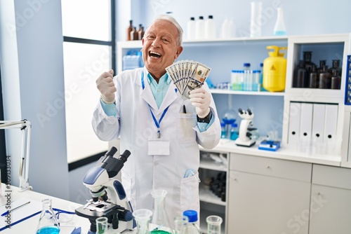 Senior scientist with grey hair working at laboratory holding dollars screaming proud, celebrating victory and success very excited with raised arms