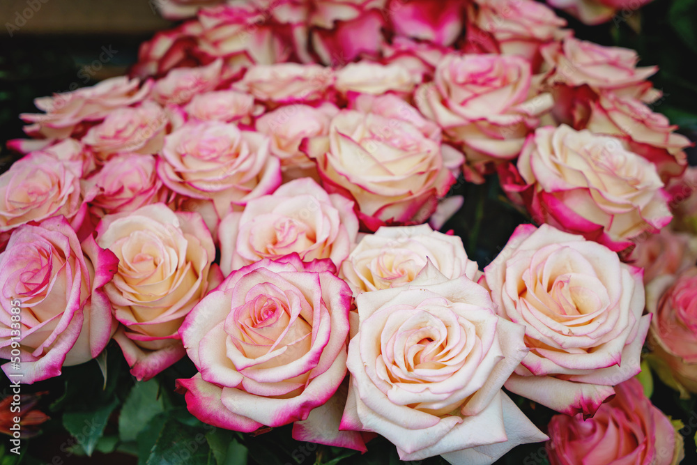 Roses at the Flower Market. Pink flowers for sales at weekly farmer market. Roses at the Flower Market. Pink flowers for sales at weekly farmer market.