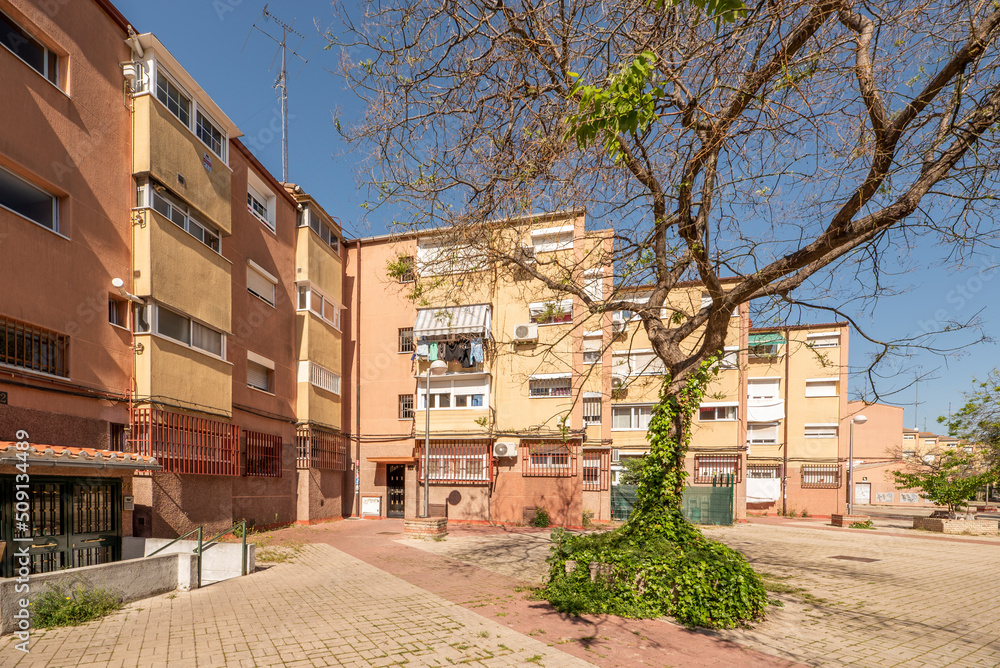 Interior facade of urban residential buildings with balconies facing a plaza paved with terrazzo tiles and a vine-covered tree