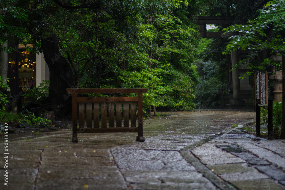 東京赤坂にある氷川神社の境内 東京赤坂にある氷川神社の境内