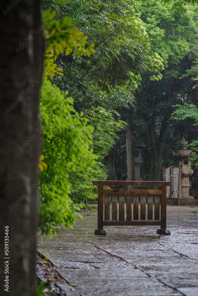 東京赤坂にある氷川神社の境内に雨が降る
